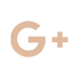 Google icon